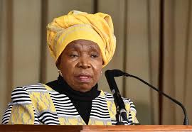 Ex african union chairperson and anc member of parliament, dr nkosazana dlamini zuma on sunday denied reports that she was tired and wanted to quit parliament. Ramaphosa Urged To Fire Dlamini Zuma News Chant South Africa