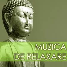 Muzica de relaxare pentru somn este potrivita pentru a va ajuta sa adormiti cat mai linistit si sa beneficiati de un somn echilibrat. Muzica De Relaxare Sunete Din Natura Muzica Orientala De Somn Pentru Pacea InterioarÄ Songs Download Free Online Songs Jiosaavn