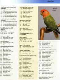Pin By Veli Erdinc Salar On Agapornis African Lovebirds Love Birds Pet Love Birds