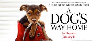 Friend of the family 2 (1996). A Dog S Way Home Out This Friday Giveaway