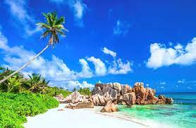 Palm Trees And Blue Sky 4k Ultra Hd Wallpaper 4k Wallpaper Net Beach Backdrop Summer Wallpaper Most Beautiful Beaches