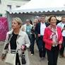 Ségolène Royal Declares Candidacy Amid Calls for France's Stronger Role in Global Health Ahead of 2027 Elections