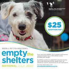 Maybe you would like to learn more about one of these? Empty The Shelters Adoption Event This Weekend Colorado Animal Rescue