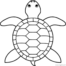 You can find more clone of turtle coloring in ninja turtles or tmnt. Turtle Coloring Pages Coloringall