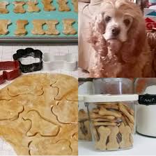 10 kitchen gadgets put to the test. 27 Dog Themed Products That Ll Make Your Kitchen So Much More Adorable