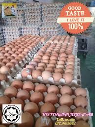 Kalau beli dipasaraya & ada telur yang rosak, tuan kedai kena bawa resit ke pasaraya untuk tukar. Ø¨ Ø³ Ù… Ø§Ù„Ù„ Ù‡ Ø§Ù„Ø± Ø­ Ù… Ù† M I R Pembekal Telur Ayam Facebook