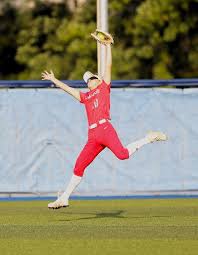 Image result for Sorindeia winkleri