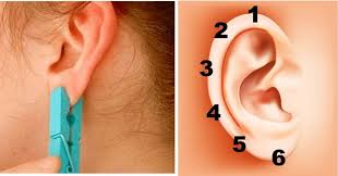 Placez Une Pince A Linge Sur Votre Oreille 5 Secondes Son Effet Incroyable Vous Surprendra Reflexologie Oreille Pince A Linge Oreille