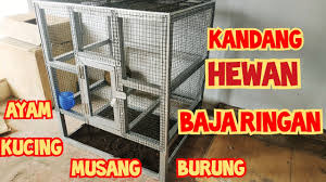 Download now bagus mana kandang burung lovebird baja ringan atau kayu ini. Membuat Kandang Hewan Peliharaan Dari Bajaringan Ayam Kucing Musang Burung Youtube