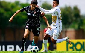 Necaxa vs unam pumas prediction verdict. Awwbpmn9weuhzm