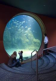 Reynolds Polymer Technology Inc Acrylic Can Be Seen Throughout Various Exhibits At The New Jersey State Adventure A Aquarium Aquarium Design Underwater World