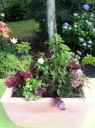 Fennel and dill also serve as food for black swallowtail caterpillars. 33 Best Container Herb Garden Combinations For Flavor Aroma Balcony Garden Web