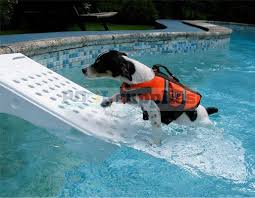 Swimming Pool Super Skamper Ramp Skr3 Small Pets Dogs Cats 200 Lbs Safety Dog Pool Dog Ramp Pet Ramp