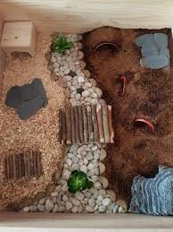 La table basse relevable doit avant tout être choisie en fonction de l'espace disponible dans le salon. 17 Idees De Terrarium Tortue Terrarium Tortue Tortue Terrarium