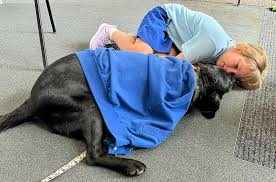 Benefits of Animal Assisted Therapy - Driven By You