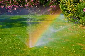 How often should i water my lawn with a sprinkler system? Lawn Irrigation Watering Tips Experigreen