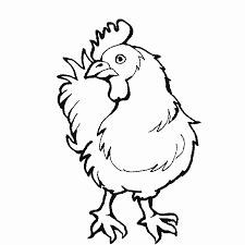 Dibujos Para Colorear De Animales Reales