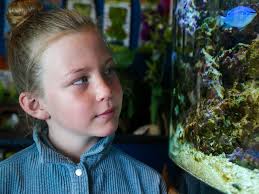 Longtime Aspenite and TV vet goes under the sea for debut novel-in-verse