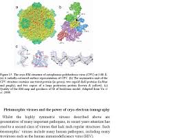 Résultat de recherche d'images pour "virus capsid electron rendering"