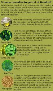 5 Home Remedies To Get Ride Of Dandruff Natural Dandruff Remedy Getting Rid Of Dandruff Dandruff Treatment Shampoos