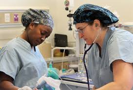 We did not find results for: How To Become A Crna Or Caa In Florida Department Of Anesthesiology College Of Medicine University Of Florida