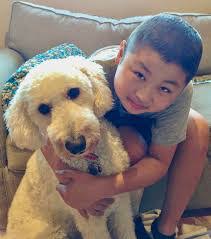 Brian Lok's Instagram, Twitter & Facebook