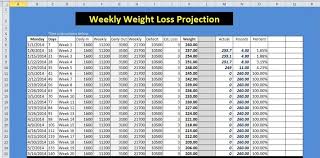 Excel Weight Loss Chart Kozen Jasonkellyphoto Co