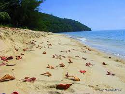 The reason why this place became the best beach in penang is due to its coast location. Pin On Penang Beaches