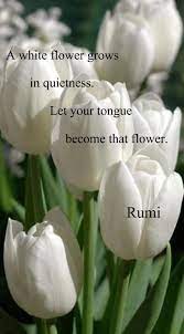 A White Flower Grows In Quietness Let Your Tongue Become That Flower Rumi From The Poem Be Melting Snow Translated Rumi Quotes Rumi Love Quotes Rumi Poetry