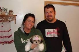 Below you will find iowa teacup breeders, iowa teacup rescues, iowa teacup iowa iowa havanese puppies for sale free puppies ottumwa iowa how much are puppies at petland iowa city shih tzu puppies logan. 5 Best Shih Tzu Breeders In Illinois 2021 We Love Doodles