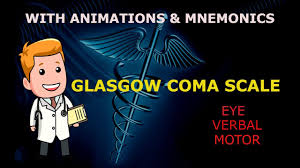 Related online courses on physioplus. Glasgow Coma Scale Gcs Made Easy With Animations Mnemonics Youtube