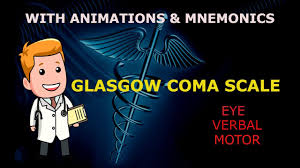 Gcs is one of several icu scoring systems to assess the status of the central nervous system in a patient. Glasgow Coma Scale Gcs Made Easy With Animations Mnemonics Youtube