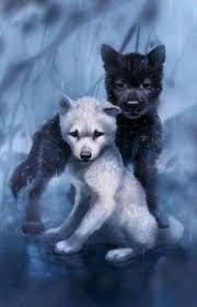 Moya Istoriya Lyubvi My Love Story Beautiful Wolves Wolf Artwork Anime Wolf