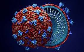 El tatio 81 hingga 96. Wow Virus Corona Takut Musim Panas Dan Dingin Lifestyle Bisnis Com