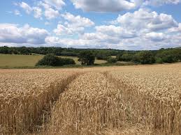 Il ne manque plus à toutes ces machines qu'un peu d'intelligence pour. Faut Il Desintensifier L Agriculture Science Pop