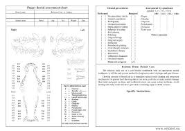 43 Complete Canine Dental Assessment Chart