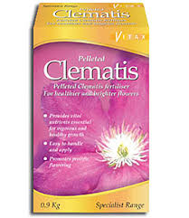 We did not find results for: Climbing Plants Direct
