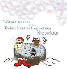 Grappige Nieuwjaarskaart Voor De Schoonmaak Grappig Schoonmaak Nieuwjaarskaart Kerstkaartencompany Grappig Kerst Kaarten Fijne Feestdagen