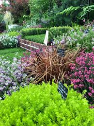 This species of lavender has higher levels of cineole, a compound that is also. Maud Seendgarden On Twitter Beautiful Alliums Lavender And Heather Stands In The Floral Marquee In Hampton Court Flower Show Allium Lavender Heather Floral Hamptoncourtflowershow Https T Co Mnqlly0xyx