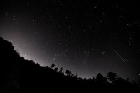 But even a black sky has some lightness. 5399787 6000x4000 Free Stock Photos Hill Minimalistic Stars Silhouette Tree Black And White Woodland Startrail Forest Black Milky Way Night Sky Dark Sky Night Astrophotography Mocah Hd Wallpapers