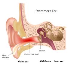 Gently pull on your earlobe. How To Clean And Care For Your Ears