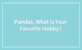 Pandas What Is Your Favorite Hobby Ended In 2020 Motivational Quotes Fresh Jokes Motivation