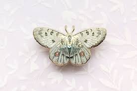 Image result for Parnassius apollo