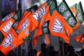 Chengannur By Election The First Test For Bjp In Its Mission Kerala The Financial Express