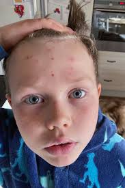 Host a Foreign Exchange Student