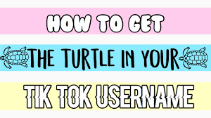 So you have to make sure it is something aesthetic and that works for you. Aesthetic Bestie Usernames For Tiktok Novocom Top