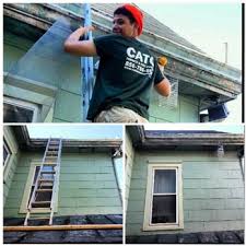 Our professional pest control company in nj eliminates ant infestations, bed bugs and other pests that seem. Cato Termite And Pest Control Pest Control Cinnaminson Nj Phone Number