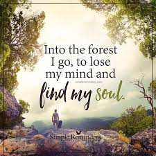 Into The Forest I Go To Lose My Mind And Find My Soul Unknown Author Simplereminders Srn Bryantmcgill Forest Quotes Nature Quotes Inspirational Quotes