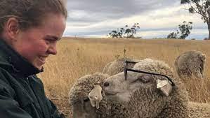 Meet Young Merino Fleece Judge Matilda Scott (TAS)