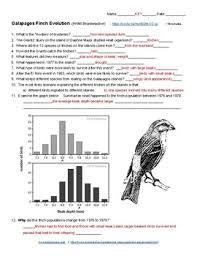 This pdf book contain beaks of finches lab answer key guide. Galapagos Finches Worksheets Teaching Resources Tpt